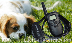 Axsel DS PET998DB1 (WT738N1/N2) водонепроницаемый
